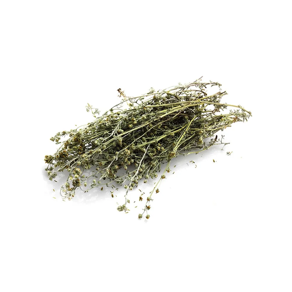 Piantine essiccate di Artemisia per preparare il Genepy